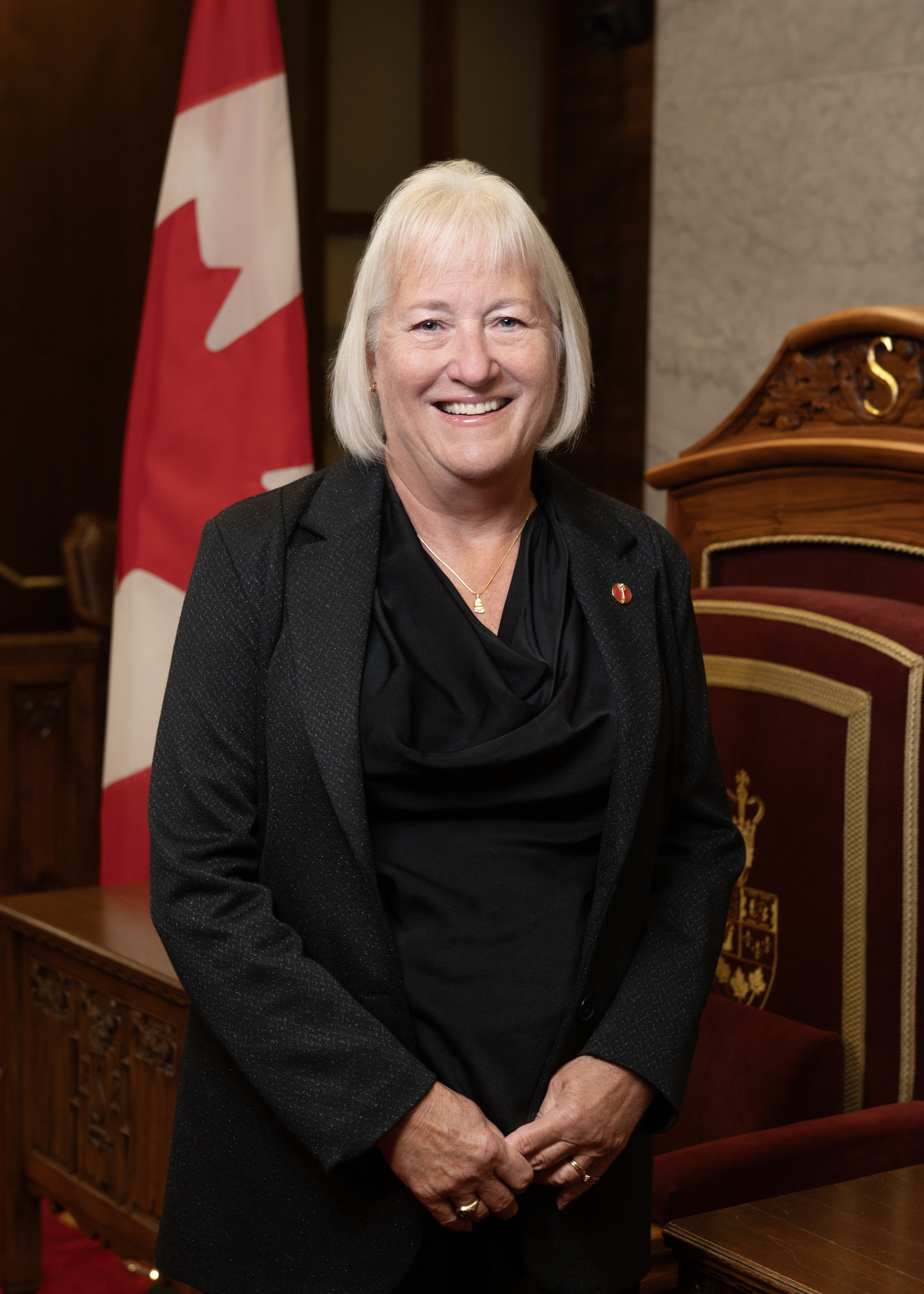 Senator Joanne Kingston image